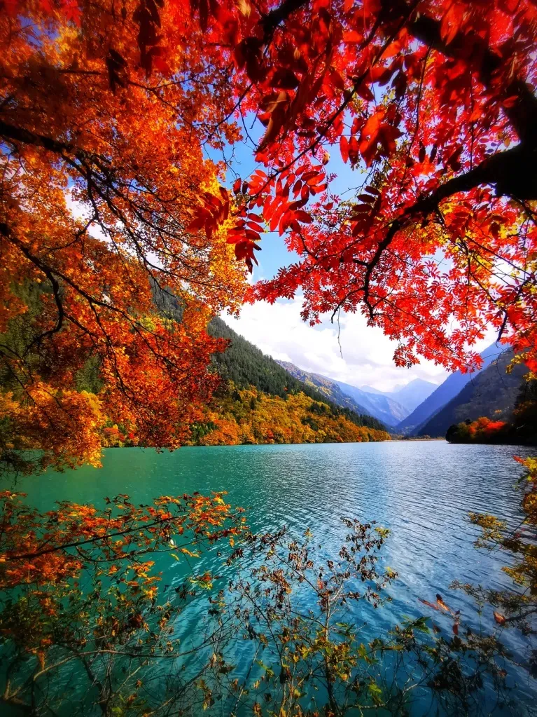 65fed93e581a2bd3072c4492e023ce99-sz_513103 65fed93e581a2bd3072c4492e023ce99-sz_513103