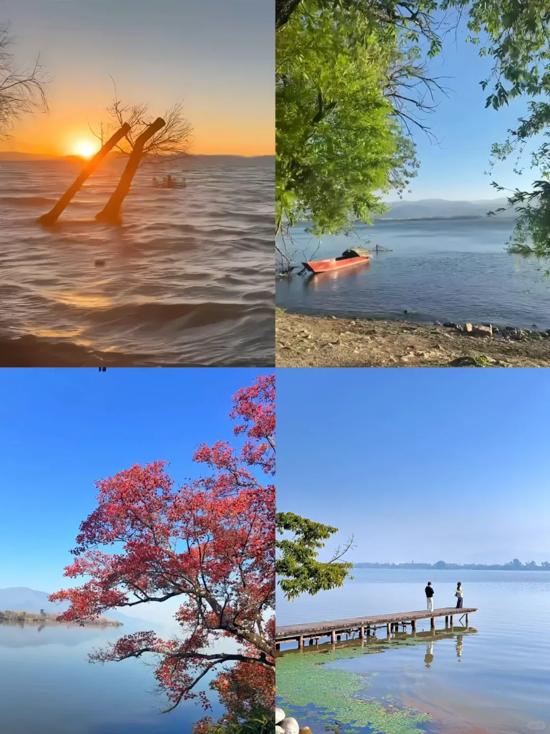 6d8e3631d5ba67faa0ae82465056f626-sz_2685195 6d8e3631d5ba67faa0ae82465056f626-sz_2685195