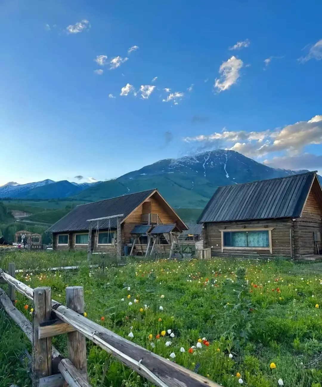 6f889b59dd4a80517ad8803ef8c085b8-sz_183608-2