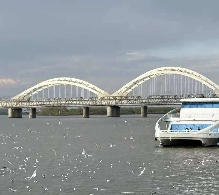 710200aabb4811040d1df23277253dea-sz_65821