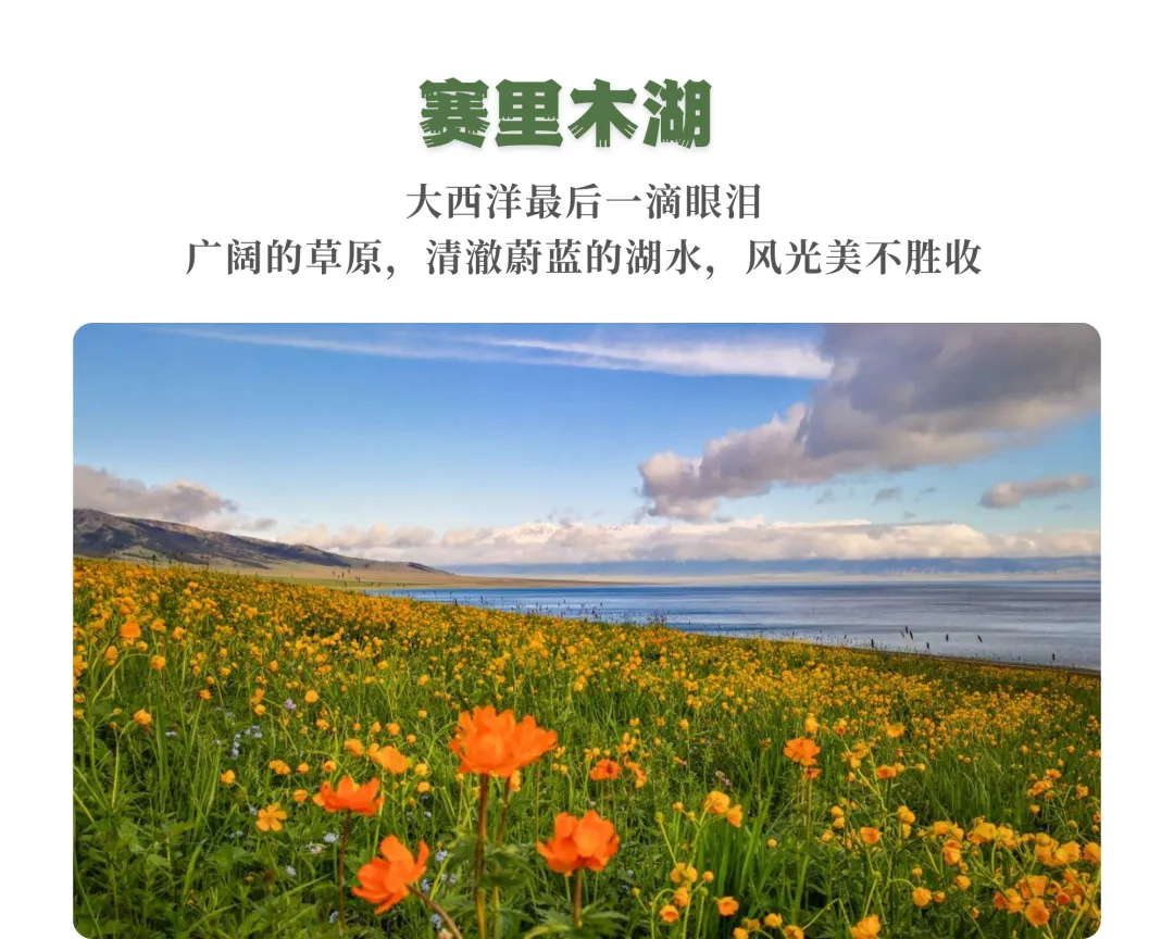769b54dc924a34cd1135e4d23cd1c649-sz_2703116 769b54dc924a34cd1135e4d23cd1c649-sz_2703116