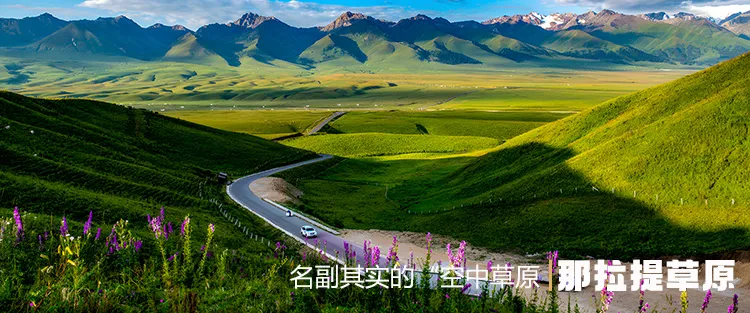 7ab11f7e074a9dc98c7b28606a1dd4bb-sz_1665051-2 7ab11f7e074a9dc98c7b28606a1dd4bb-sz_1665051-2