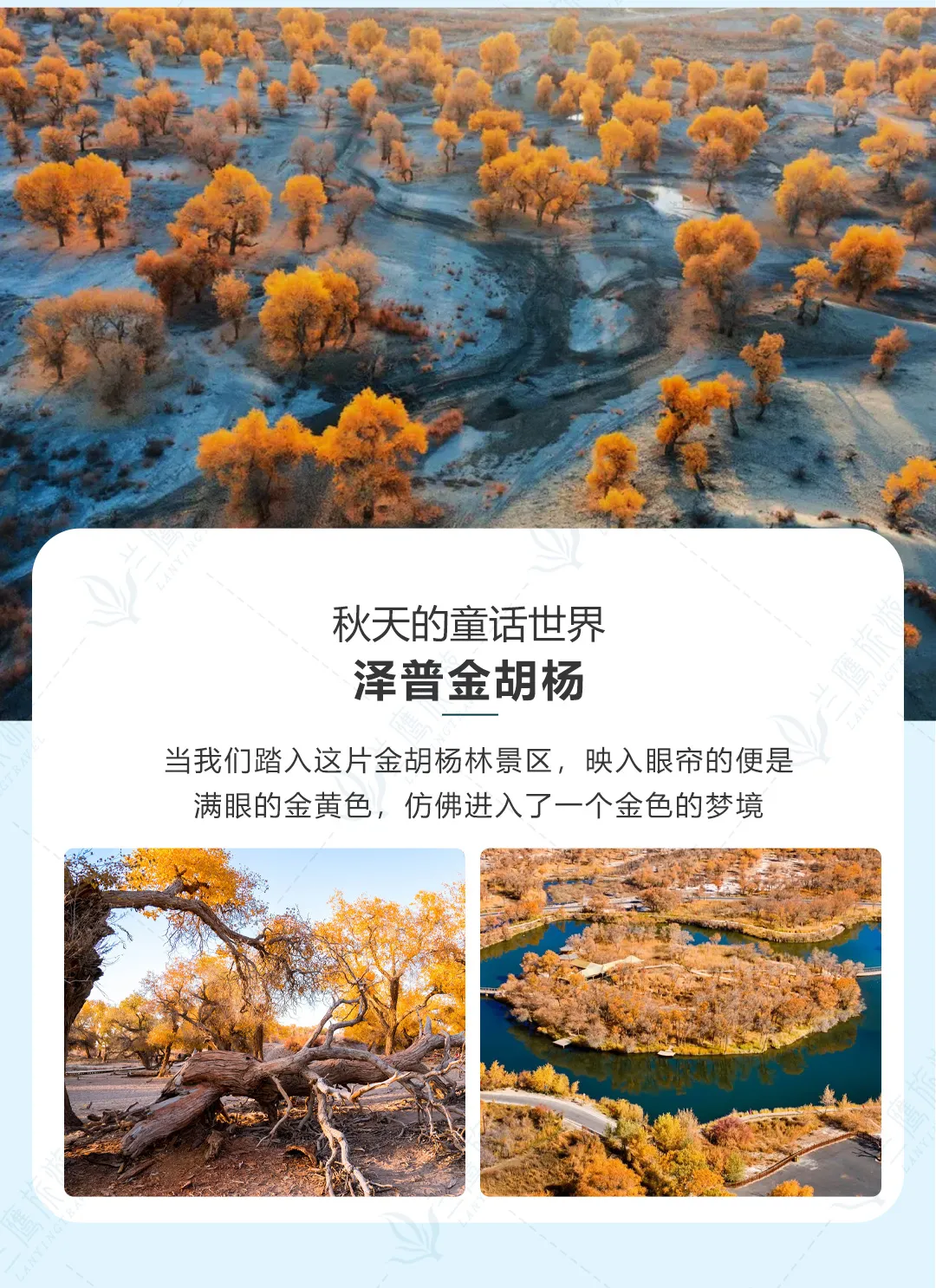 7c4ce61916de5b22971a3d0f49545f75-sz_713319