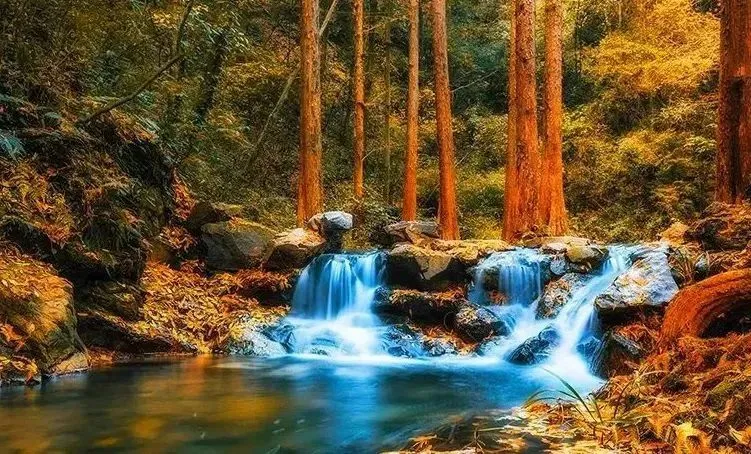7c59716723351c3d0faa87e5fbf54bfe-sz_126676 7c59716723351c3d0faa87e5fbf54bfe-sz_126676