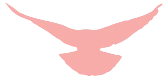 806b8254c47d00826628077361ca4a3a_sz-3202