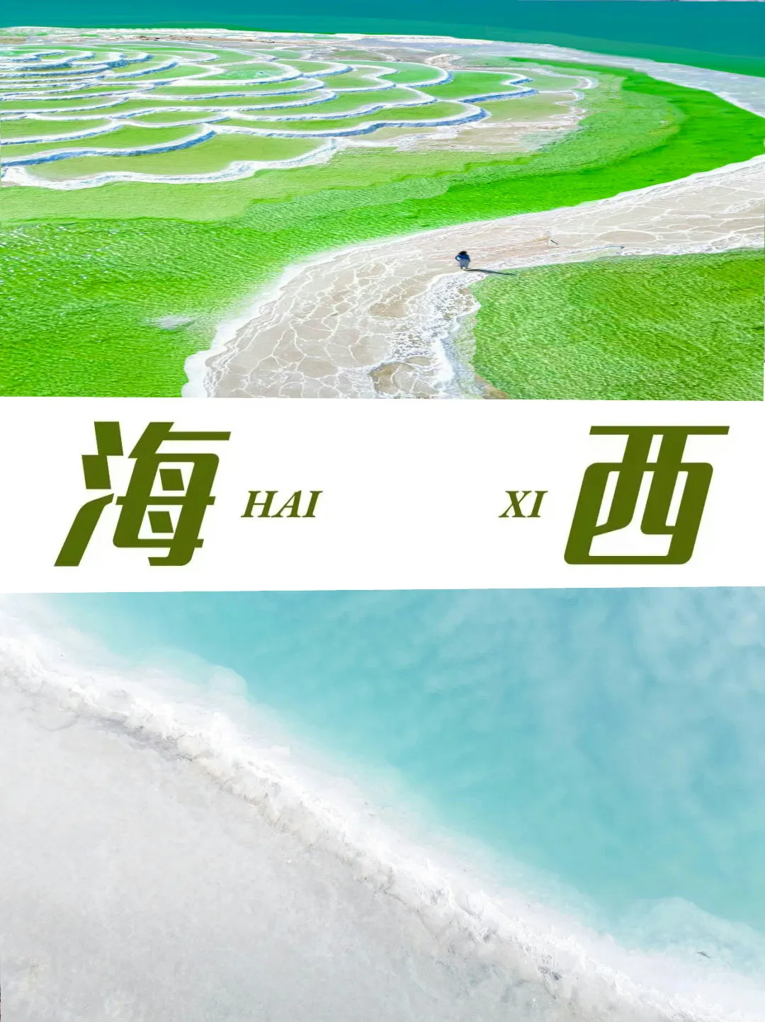 8245d3f564ff8eb7ebd7513e38c66f5f-sz_251835