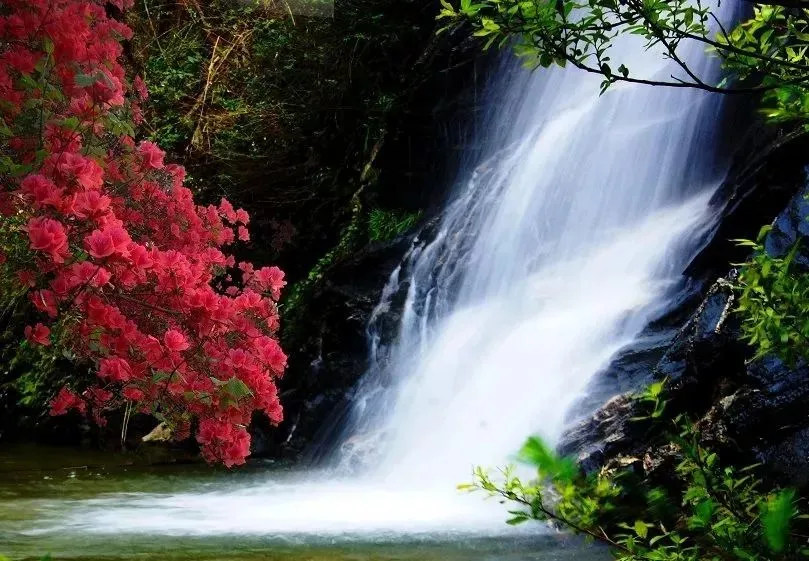 8303ca52623cbdfae40c05db4123ac31-sz_106792 8303ca52623cbdfae40c05db4123ac31-sz_106792
