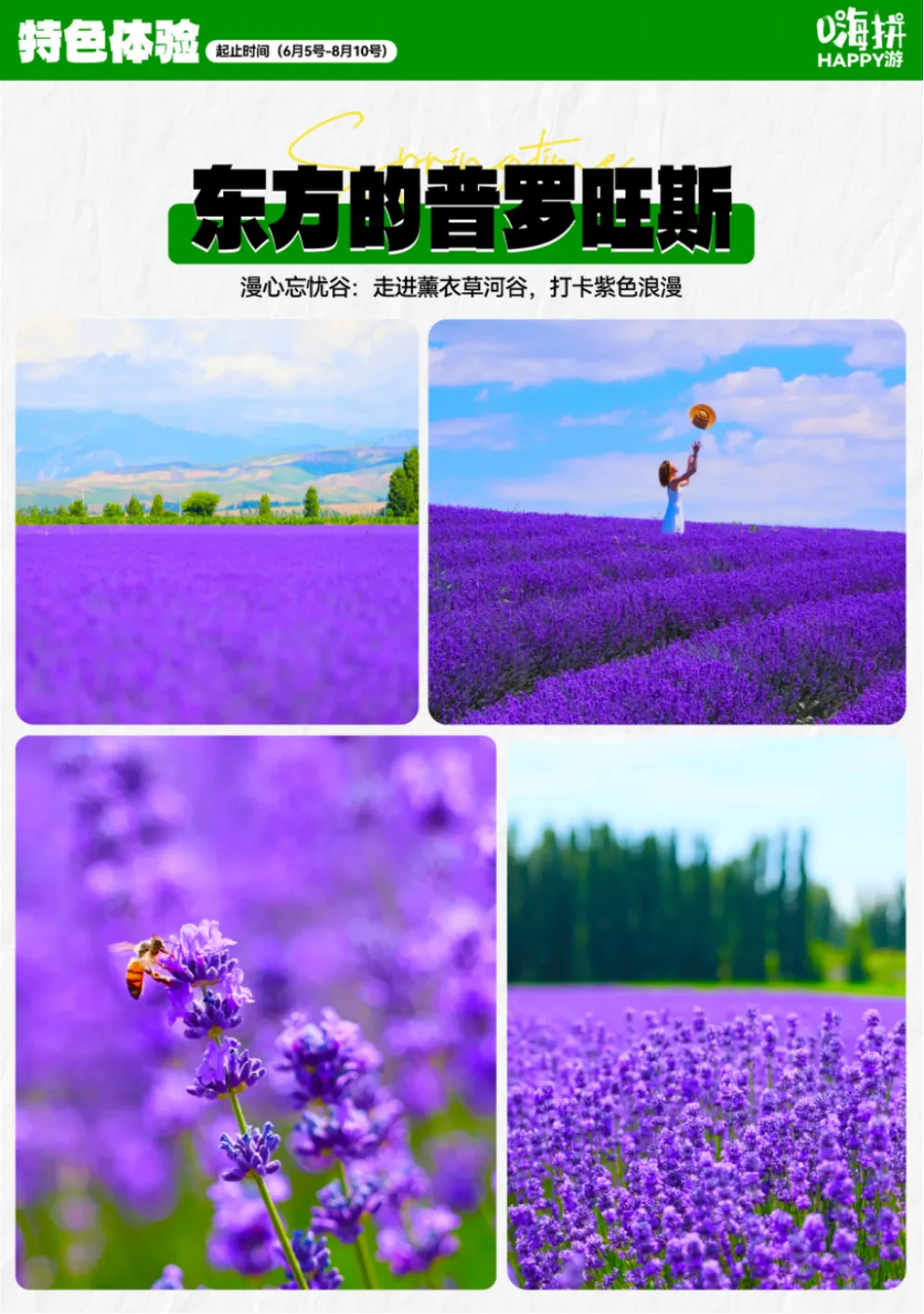 893c4de159b74eafa9b49cd59258ea02-sz_5618958