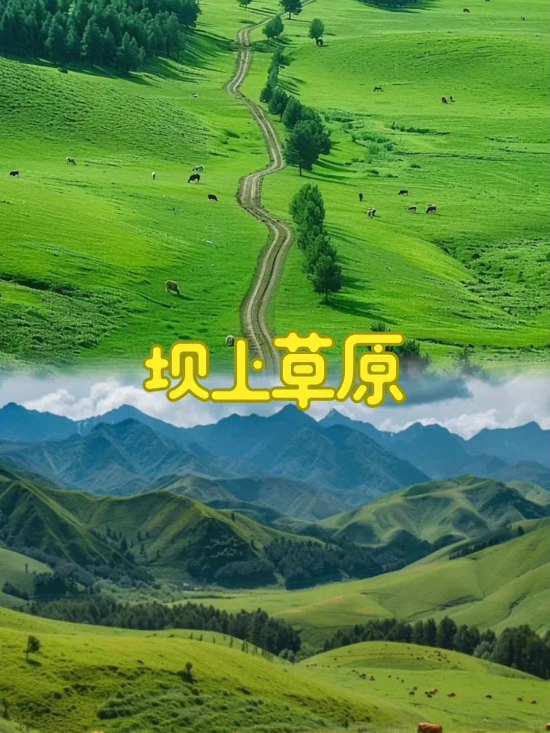 8a5c3c1edc9e87f8075beab0a11f44c7-sz_371347-1