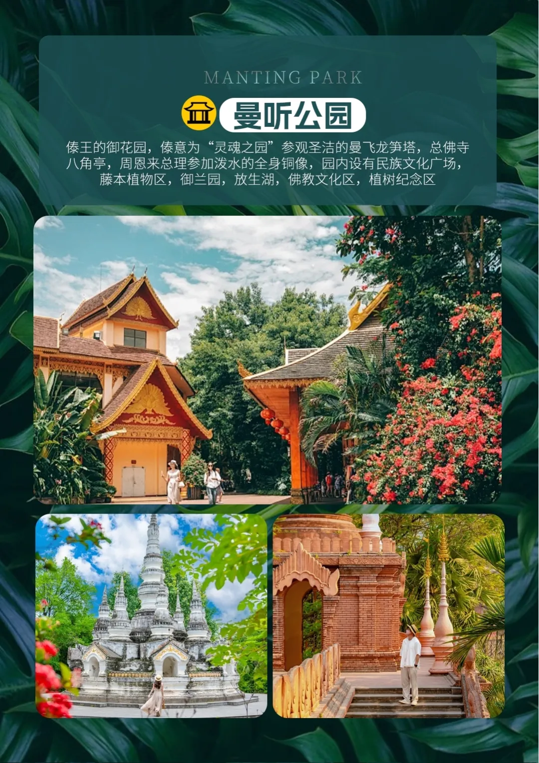 【直飞版纳❤️遇见美好】2680元/人+连住携程3钻酒店全程不挪窝/景·傣族园/万亩茶园/花卉园/野象谷/原始森林公园
