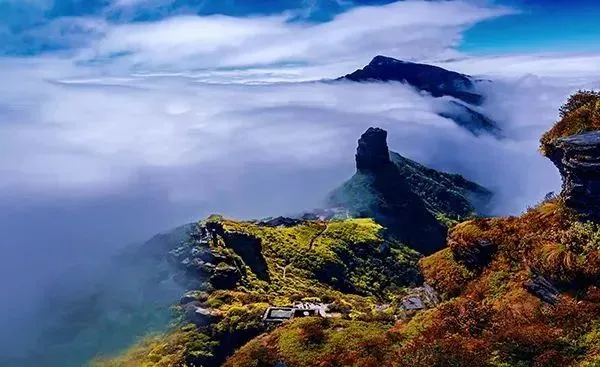 8c72298de40242c5e54286f206d1eb6c-sz_45514