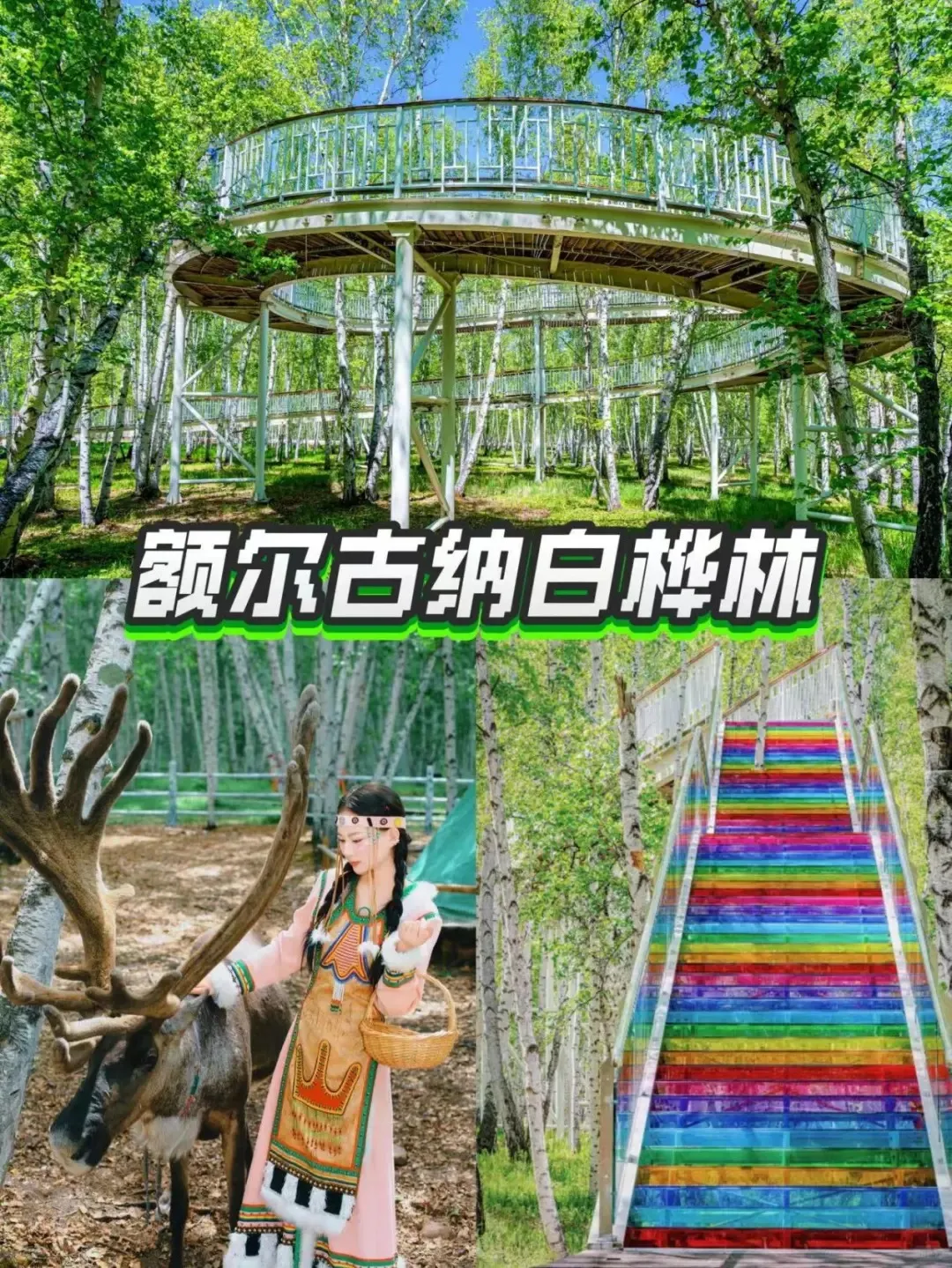 8d78d6d24af6406055e6b8d1b5b956bc-sz_633730
