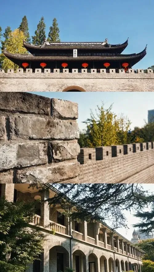 8dae3b40ce9e605e1ba2504e42cc1049-sz_120570