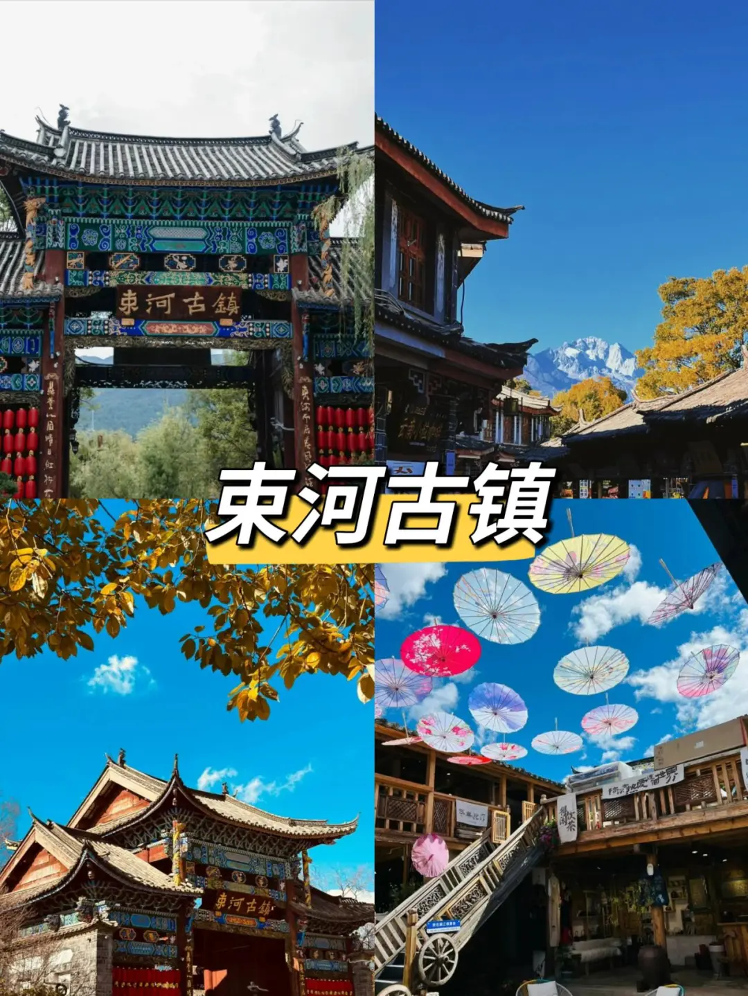 8dd18b4f365474119cf0c936424de12a-sz_365065