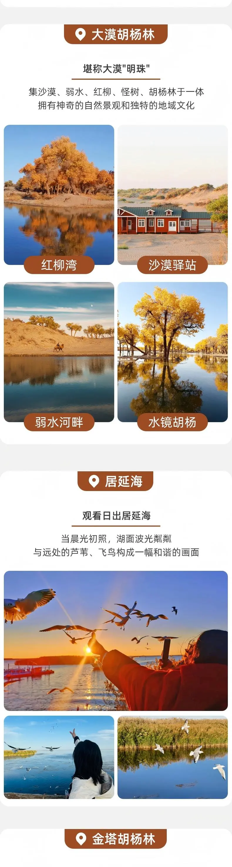 8e9337694e24978e632dca7ac433fe95-sz_295996