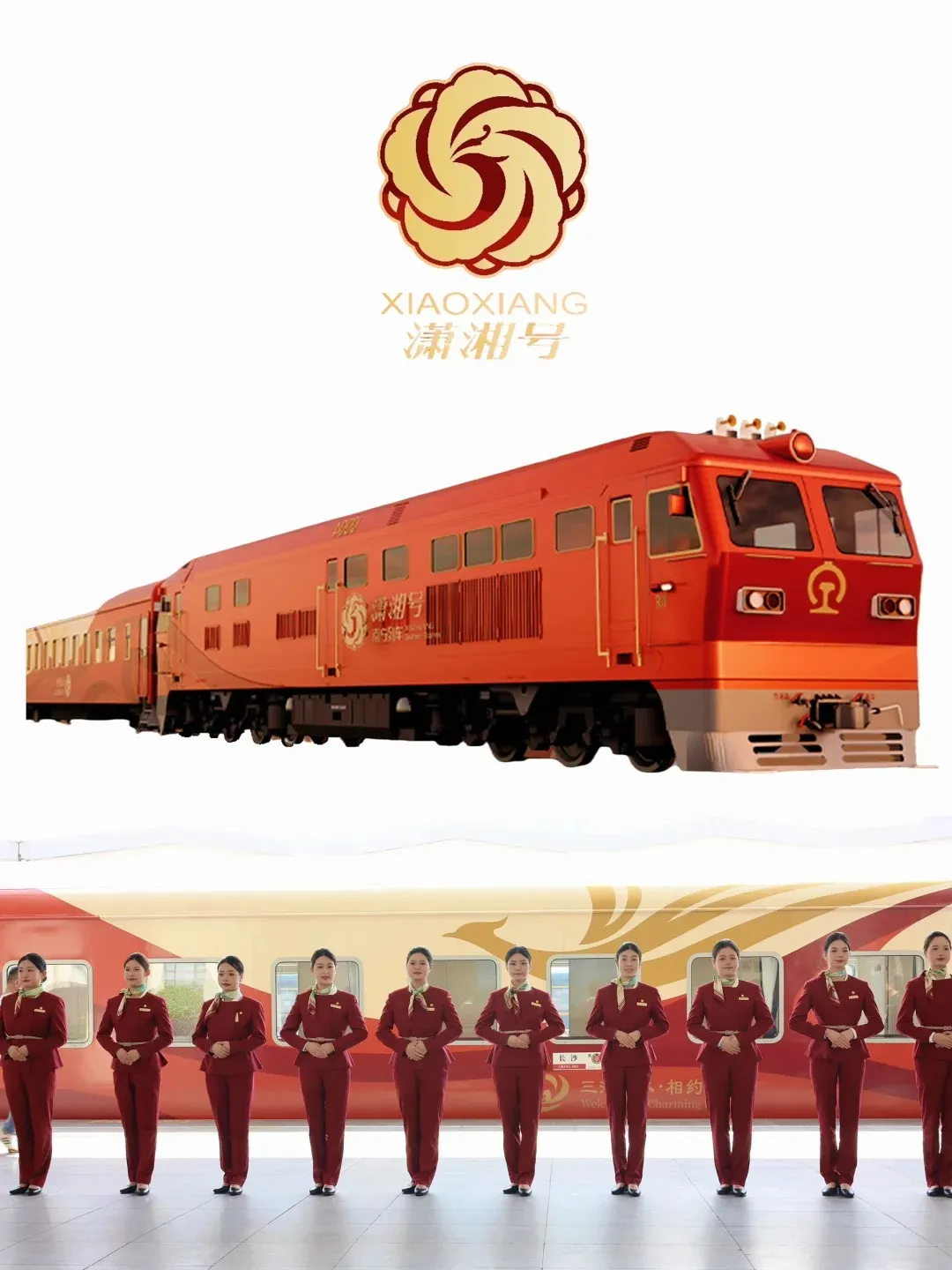 91aef5f9915d0b75484c343eecf1f5dc-sz_219421 91aef5f9915d0b75484c343eecf1f5dc-sz_219421