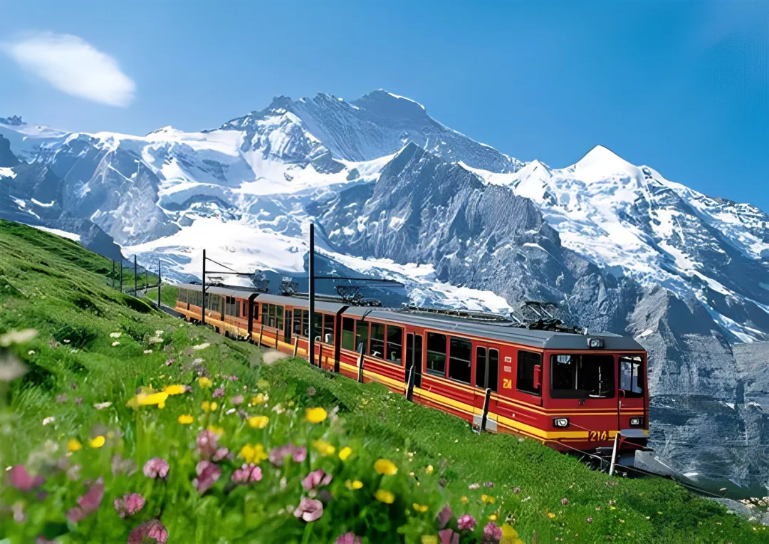 95a039578ba98df112e237c8aab36d1a-sz_731171 95a039578ba98df112e237c8aab36d1a-sz_731171