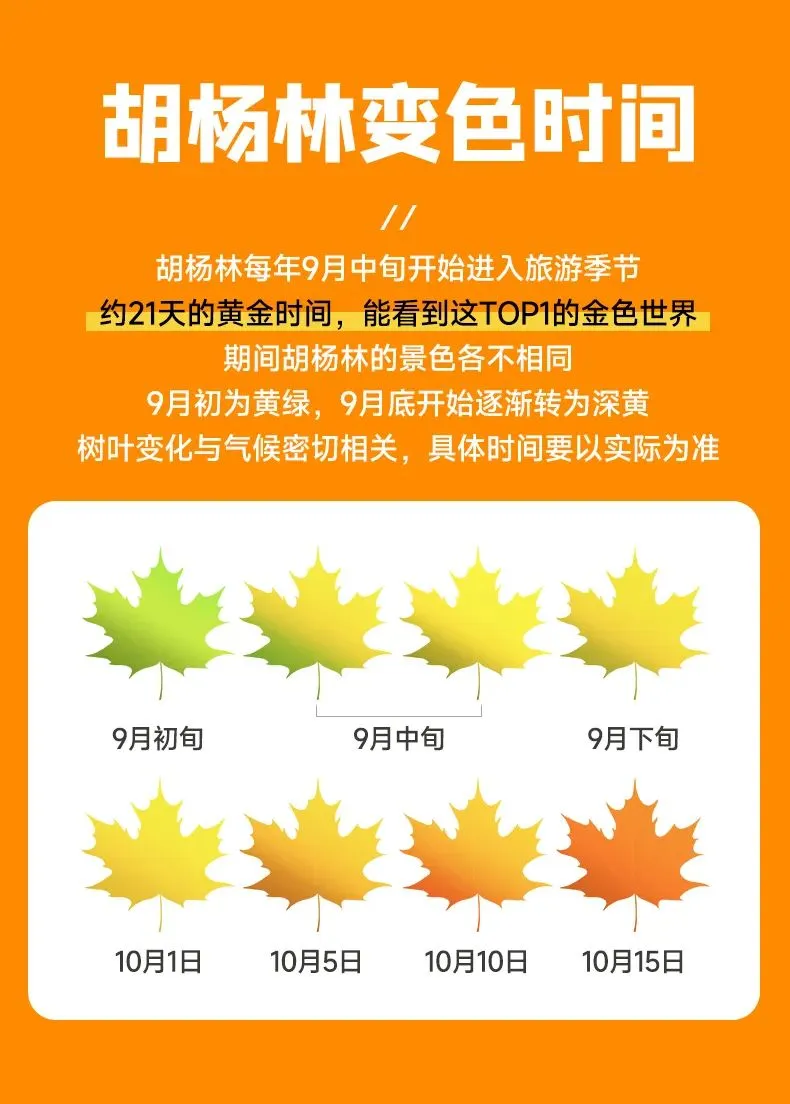 961a4f220dbae2a2c797a3527b8dd3f8-sz_579238 961a4f220dbae2a2c797a3527b8dd3f8-sz_579238