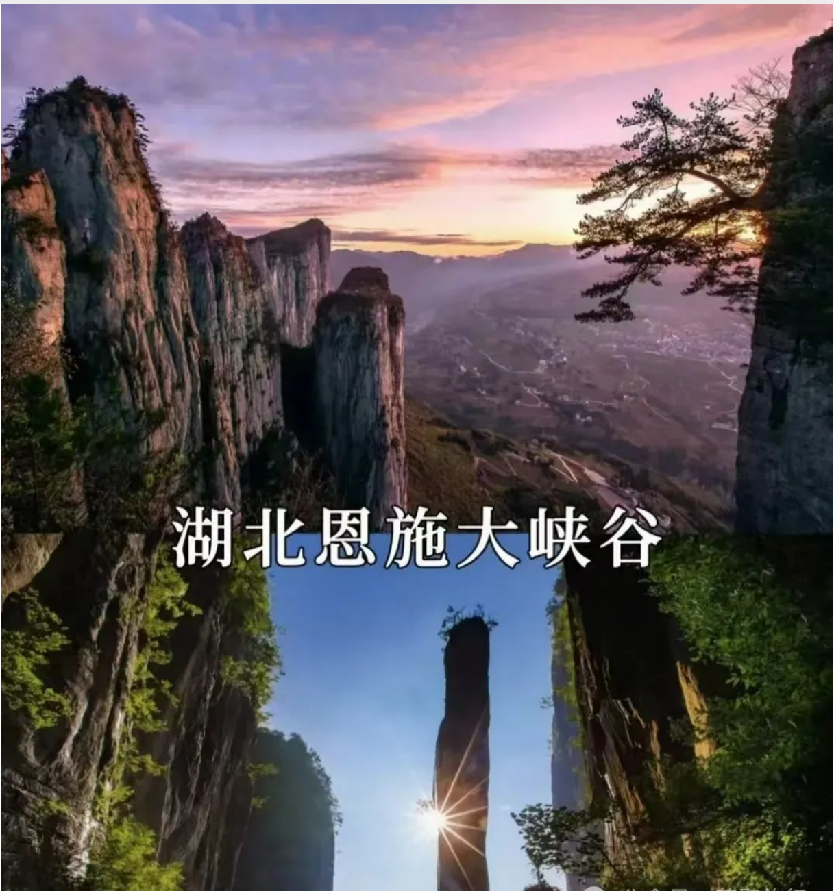 9af18e6fd504b96c853016d9dc745988