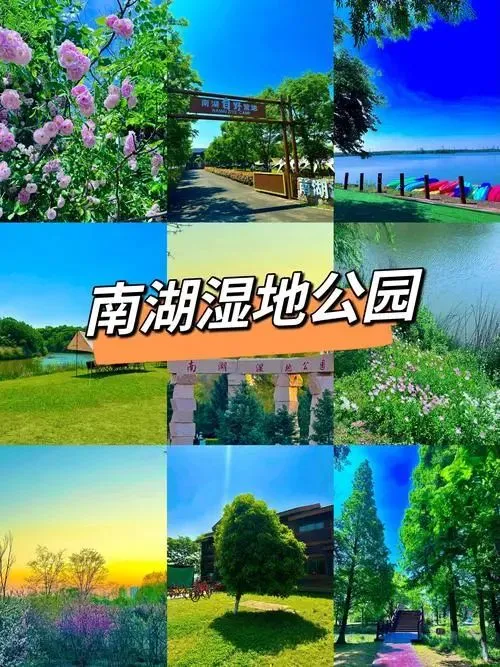9f2992b5bb961c0c5e760888c3998e65-sz_98820