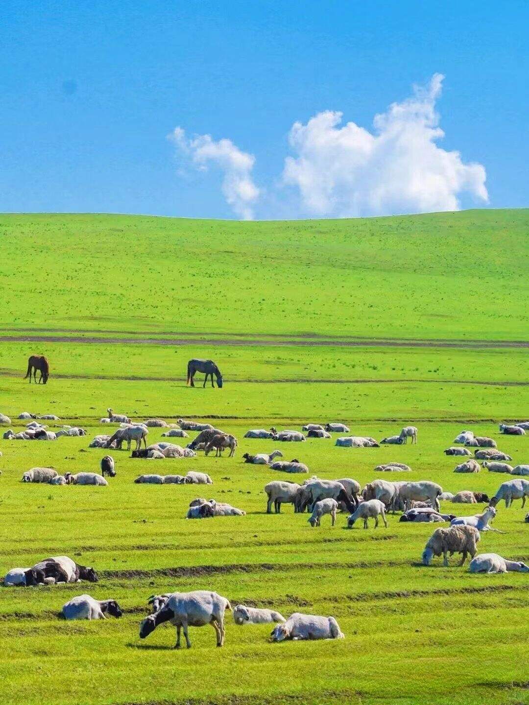 GPpEWTimFXpfEWWF GPpEWTimFXpfEWWF