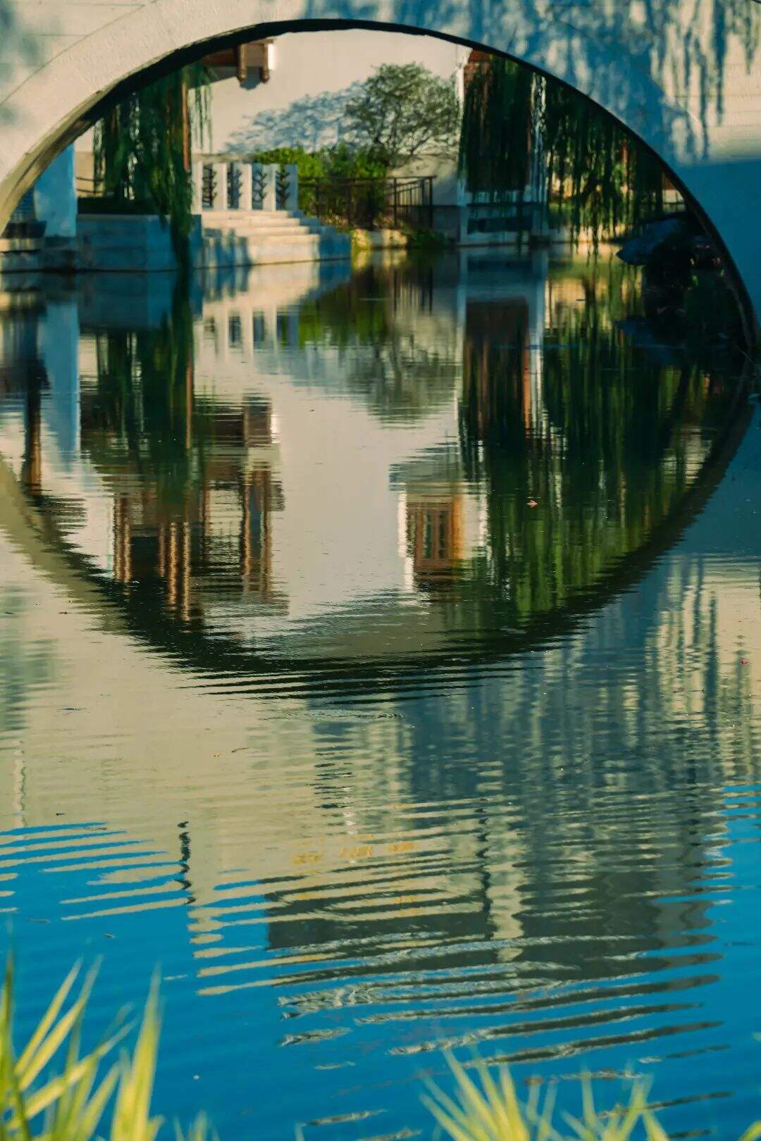 SzTbgDIMgfjCaFVq SzTbgDIMgfjCaFVq