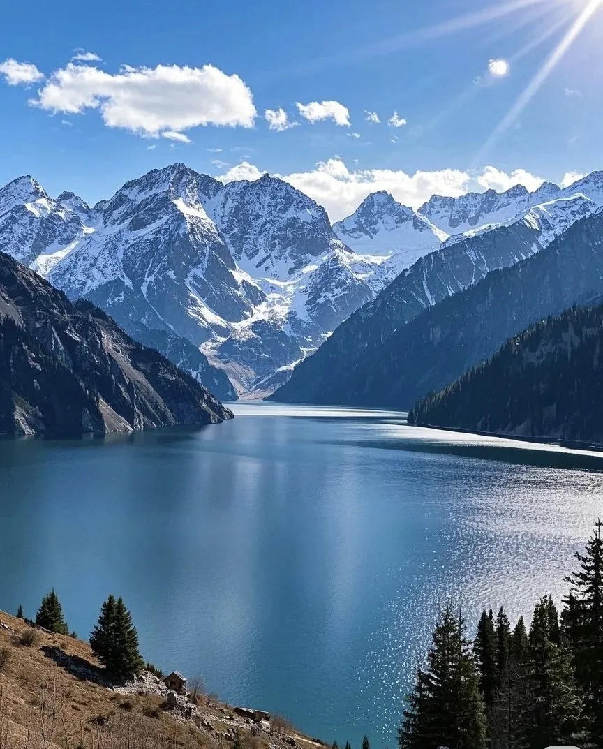 a2c585a9d0be3f2a21bdad7dd1d0918b-sz_336218-2