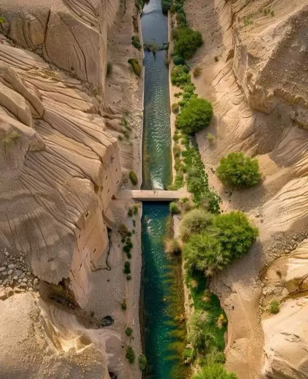 a351794964b17e280538400c3d607e2e-sz_1201997-2