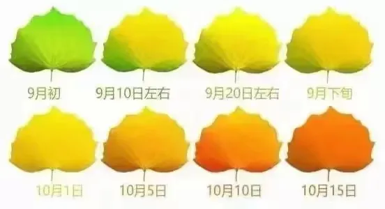 a7adf5b71371e1134ad32a8d2c293283-sz_37453