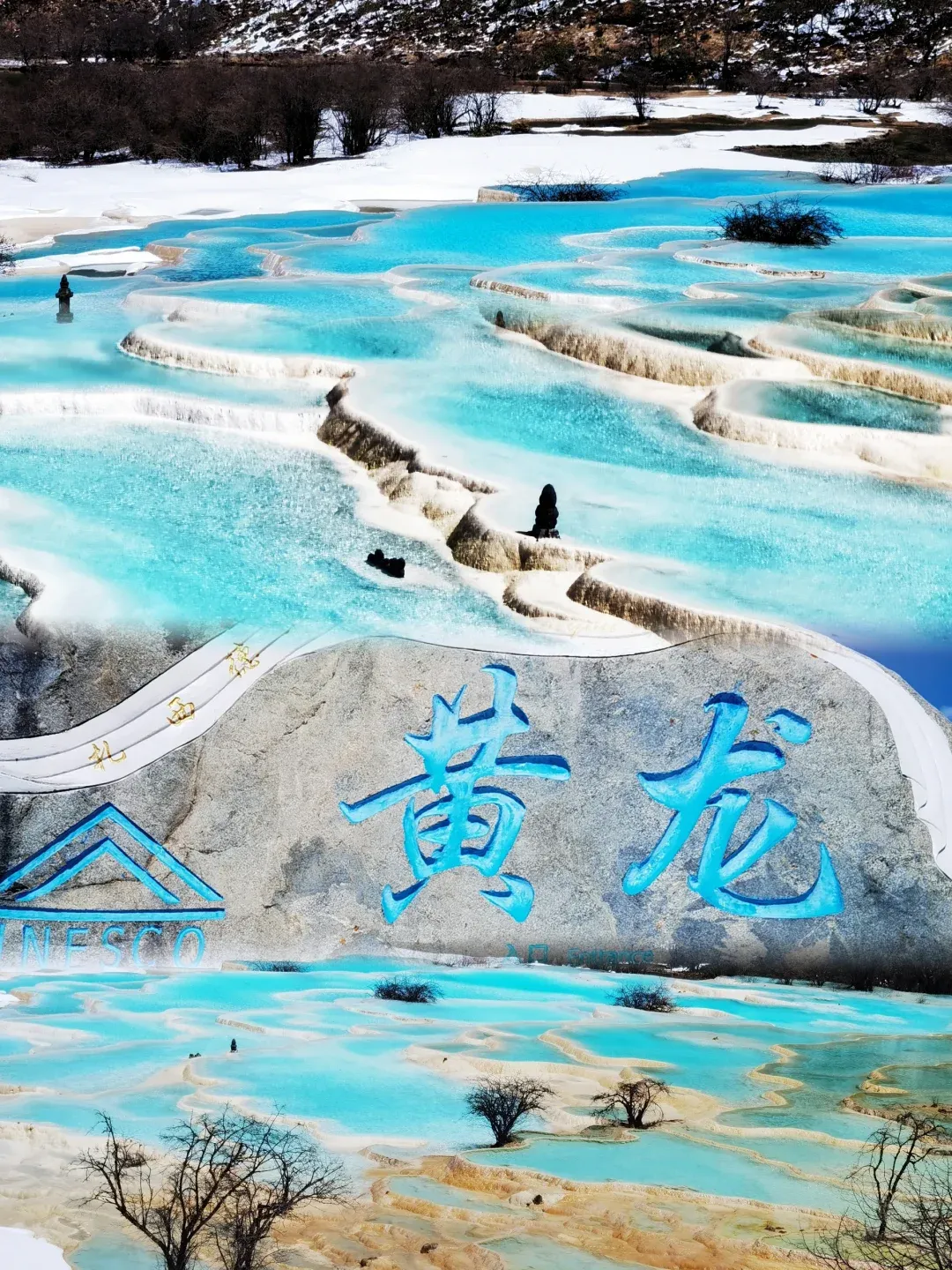 【2025四川全景新升级】纯玩/九寨沟/黄龙/峨眉山/乐山/都江堰/青城山/锦里/文殊坊/宽窄巷子/黄龙溪双卧10日游