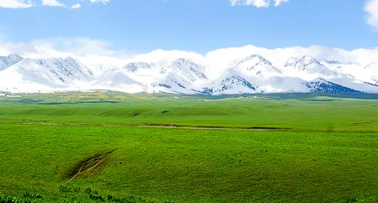 aa5134045459c1b4b1e245522ed34505-sz_352168