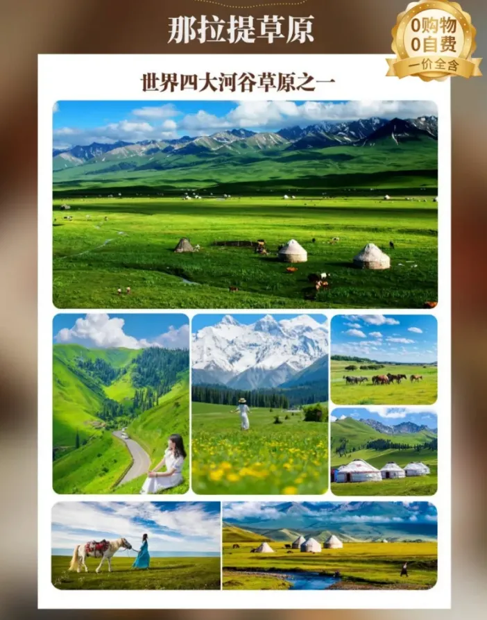 aa8e61f7aa319c9bf526bbae8080a6ed-sz_1436015 aa8e61f7aa319c9bf526bbae8080a6ed-sz_1436015