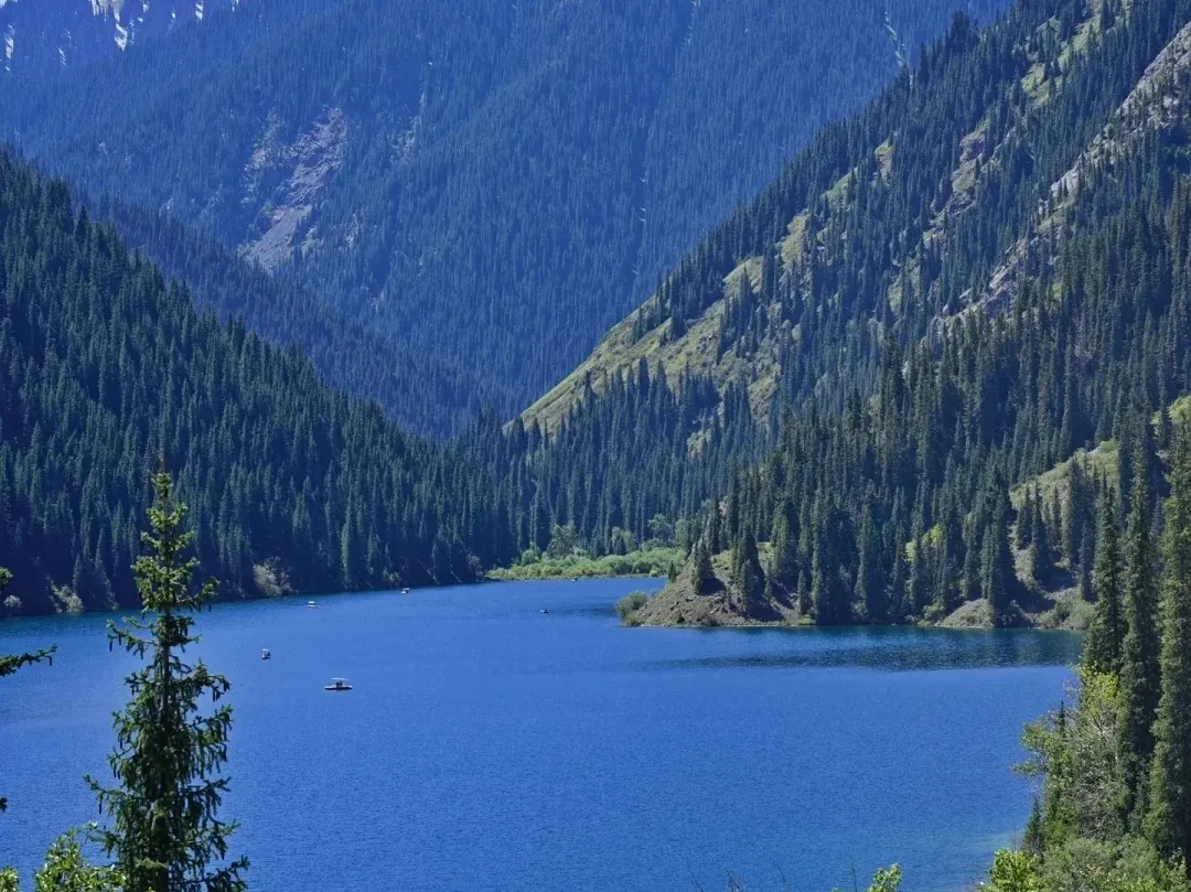 ad594aac4ef8d780db3d7d44f5613635-sz_519567