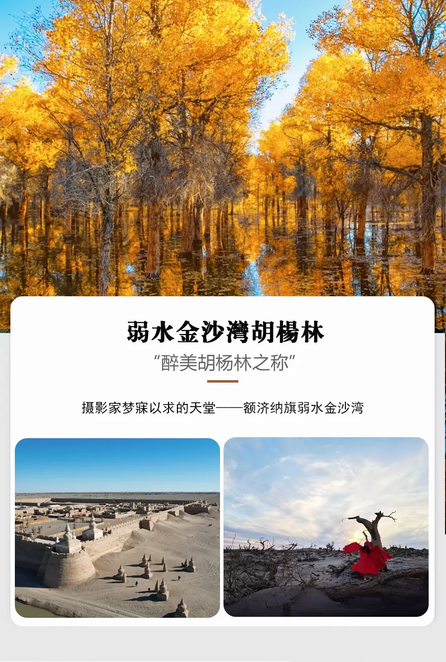 afda8544b2b7b4a2bf497d26fba9d4cc-sz_1633774