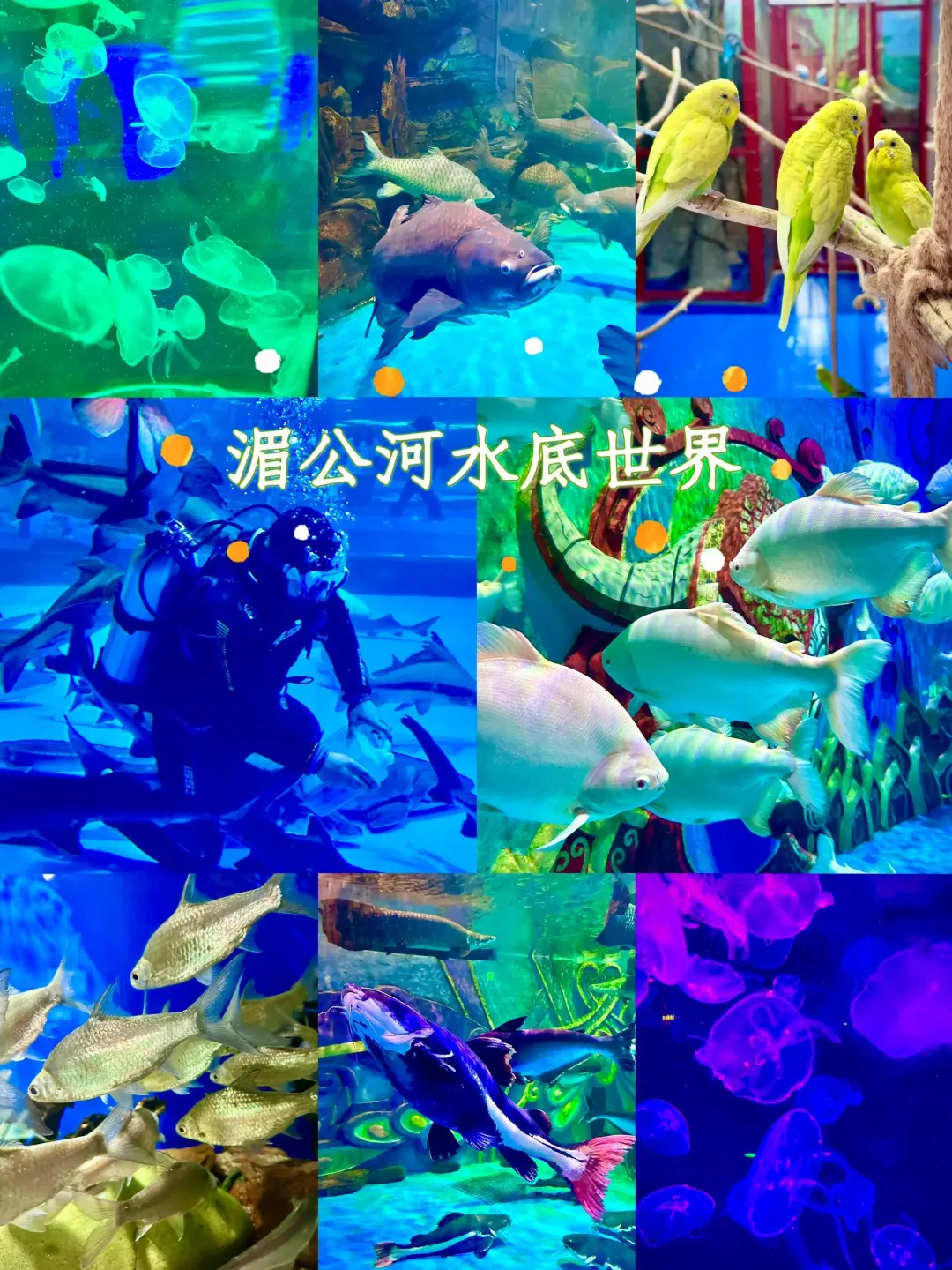 b148445b2bbe9dfdc406ca401b3773ec-sz_657101 b148445b2bbe9dfdc406ca401b3773ec-sz_657101