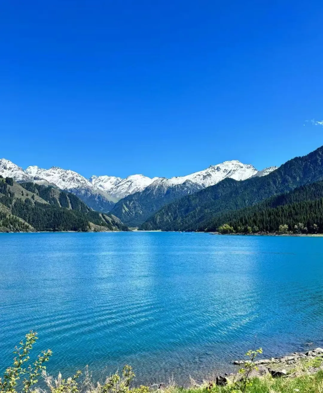 b27faa1120abfb174b386c6b4599310f-sz_2428959-2