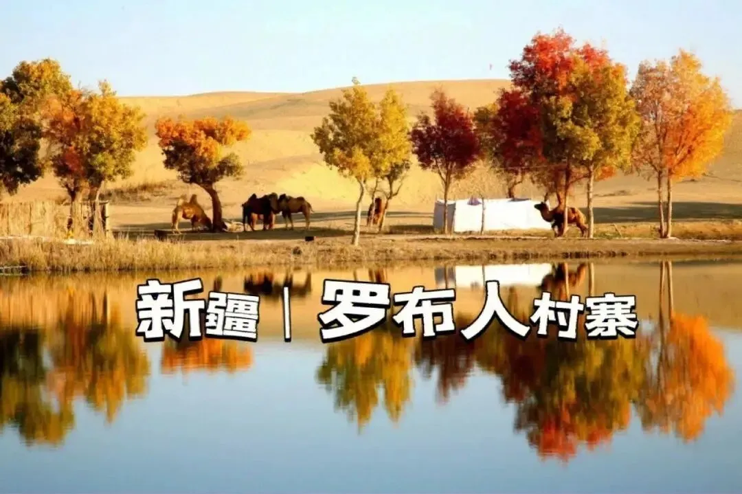 ba209d120405623aeb2c3655587ff56c-sz_116211 ba209d120405623aeb2c3655587ff56c-sz_116211