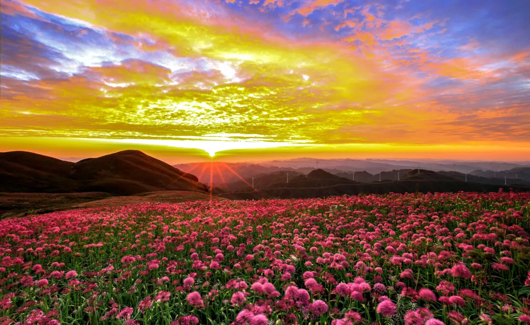 be7074d82fa53f5cdda984676f6c34c3-sz_2284427
