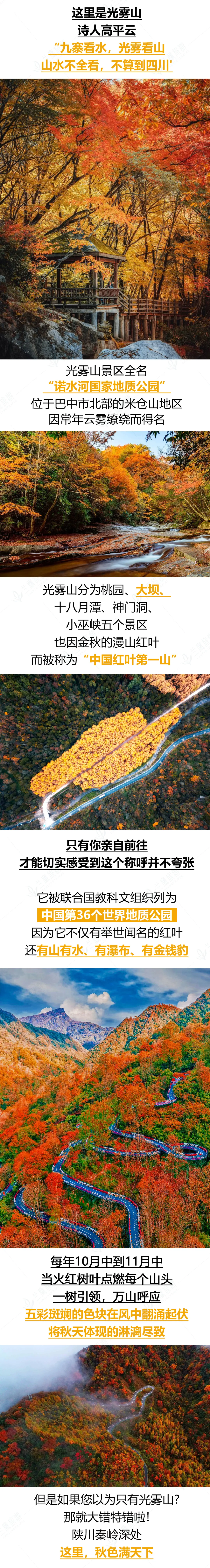 beca6ecbc39448e3ad99ad6329681772-sz_5169183-7