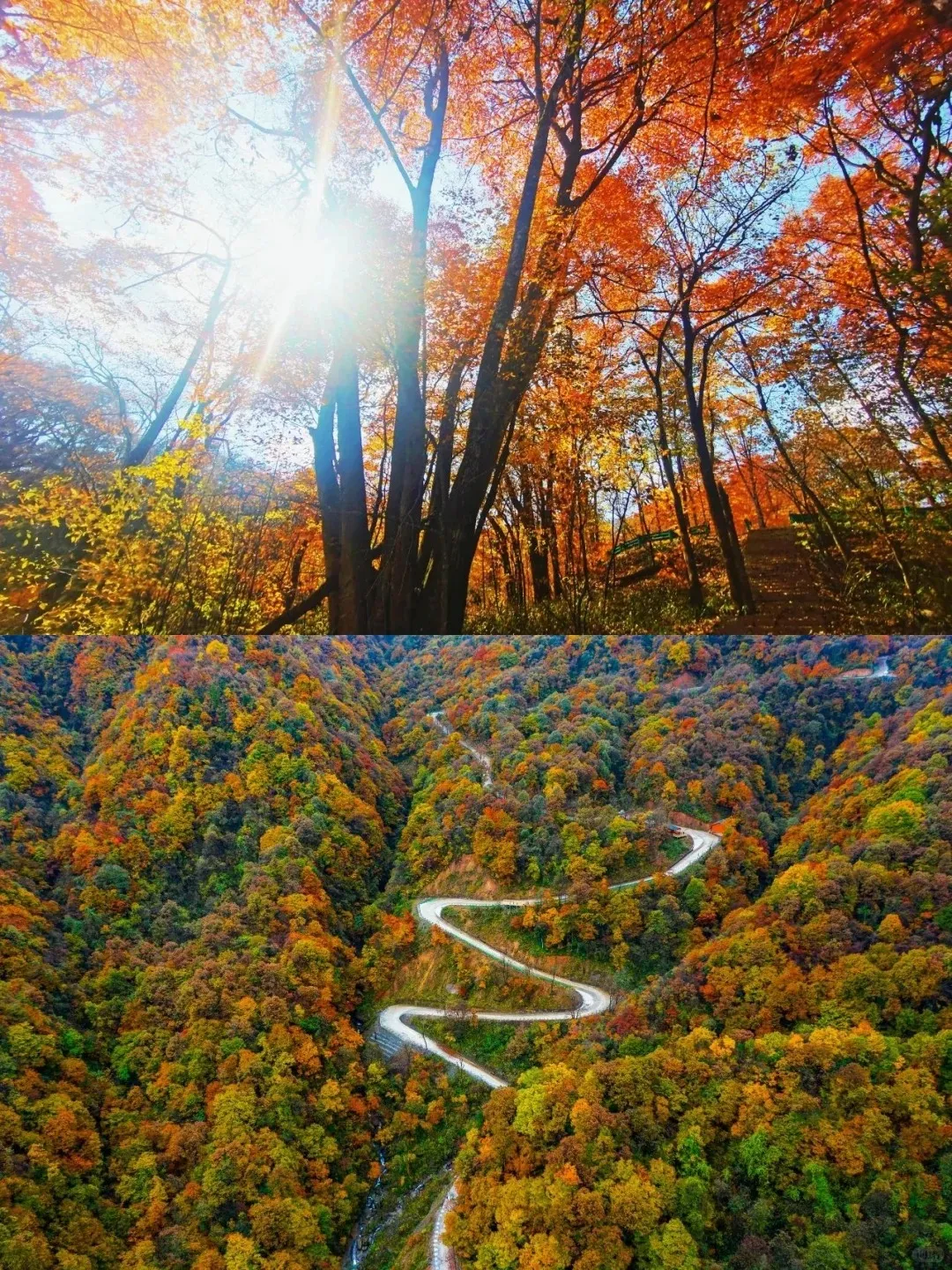 c141062a47afa6f16266dfd839ce7a2e-sz_766037