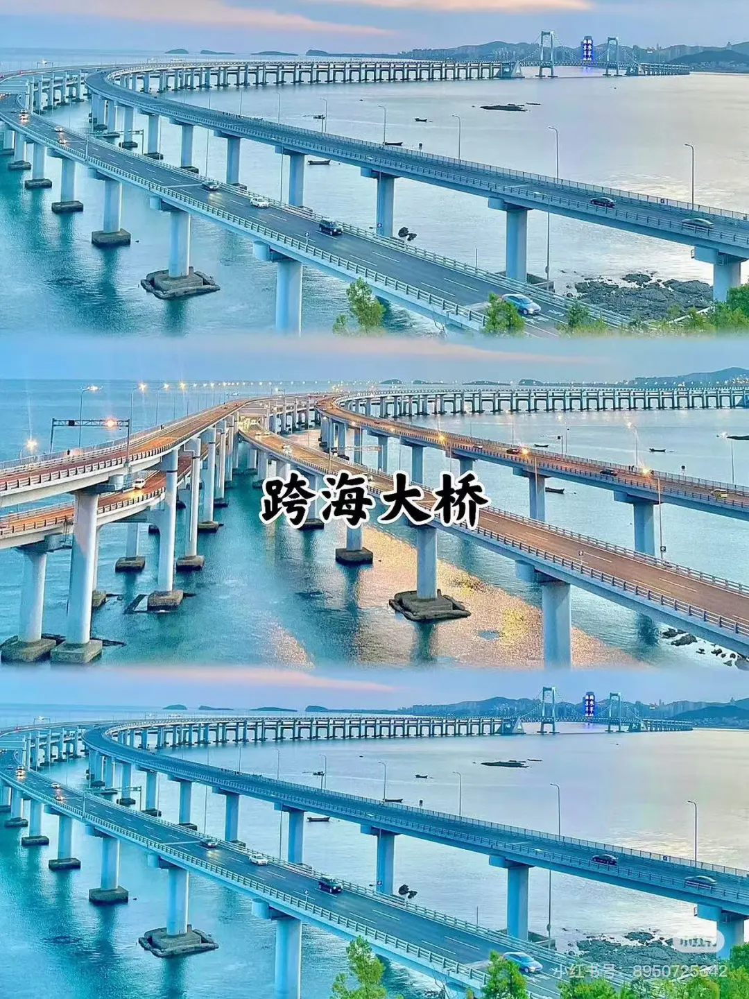 c229271e57da926c8e526fab65e4bfbb-sz_480743 c229271e57da926c8e526fab65e4bfbb-sz_480743