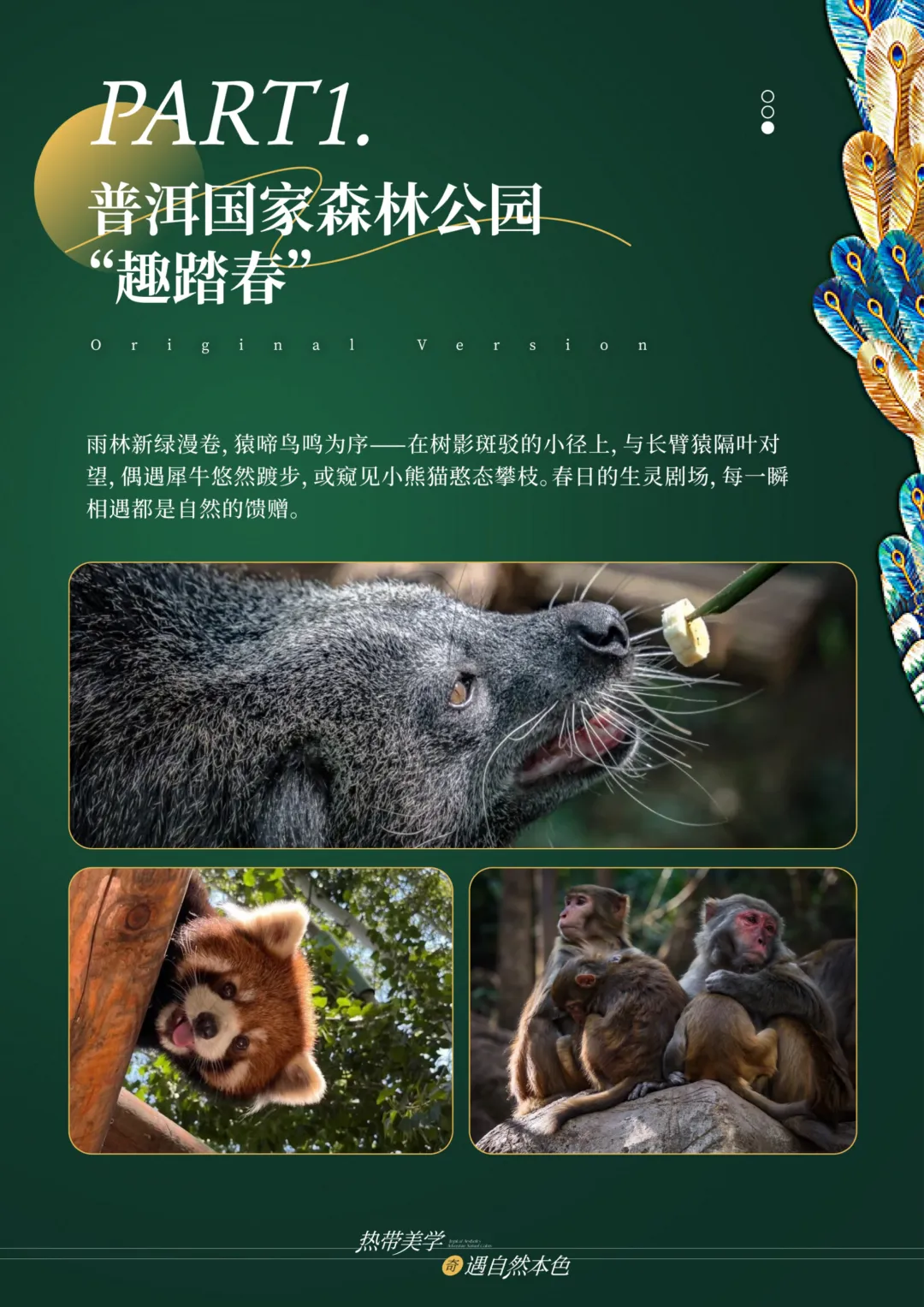 c501cf57374d07518614ef00770fd6ab-sz_1779024