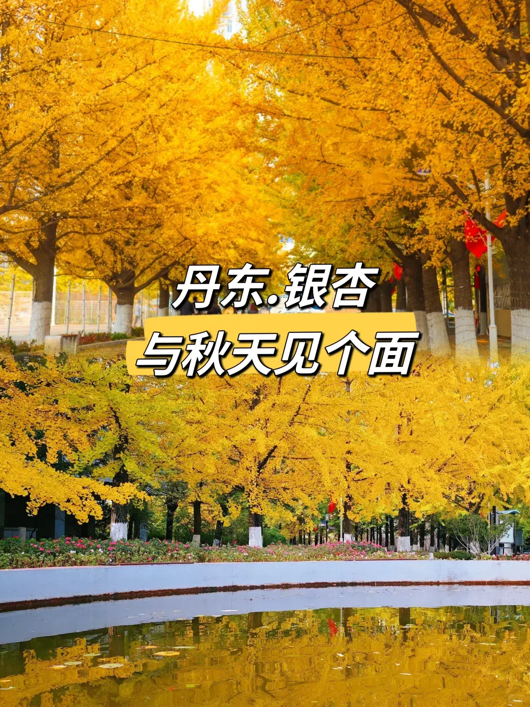 c7919aa739c47490a85ca35c2bade9fe-sz_3955652 c7919aa739c47490a85ca35c2bade9fe-sz_3955652