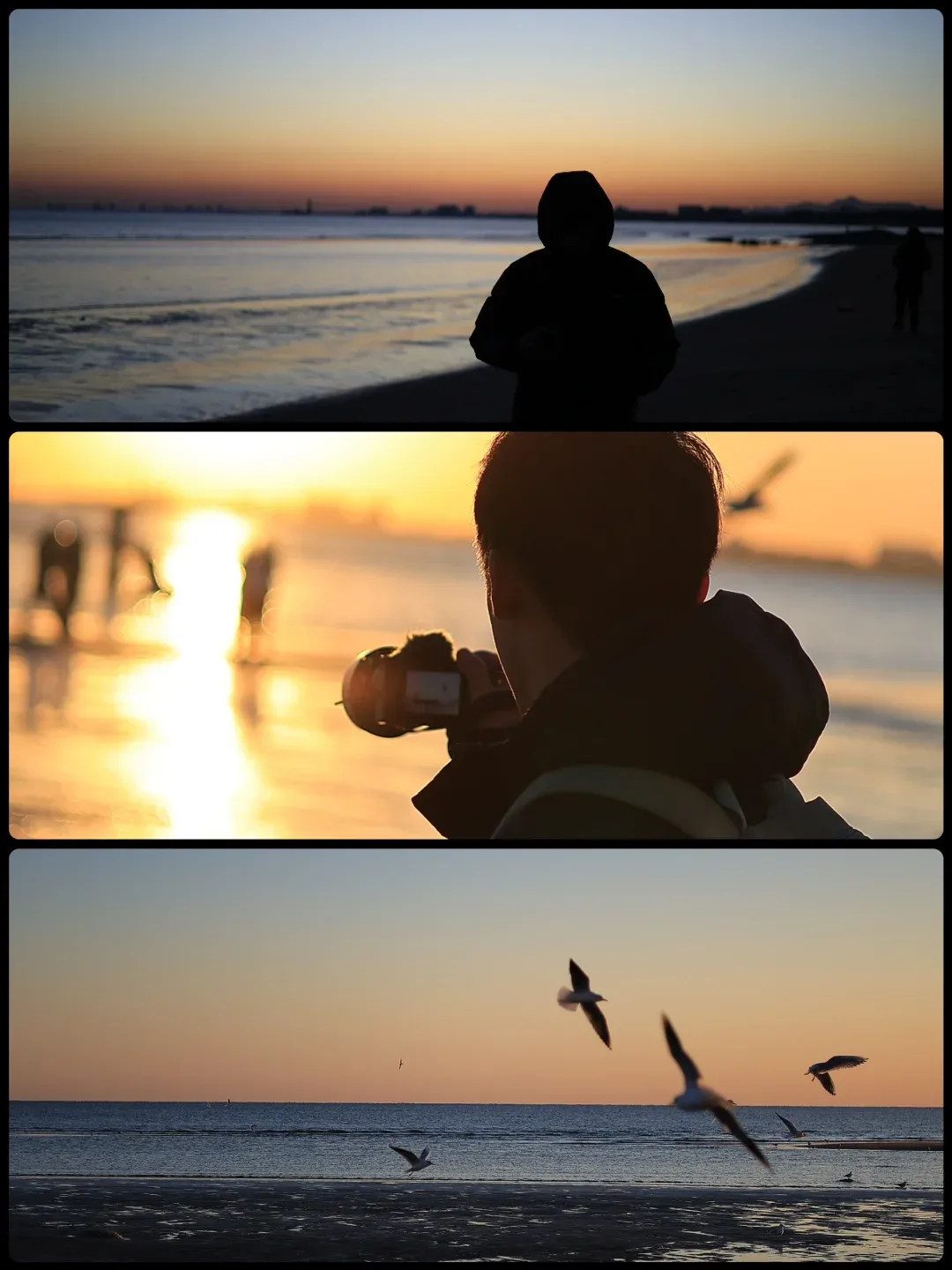 caa53b5a62f1781cf91b3b41c3b818b9-sz_1406979