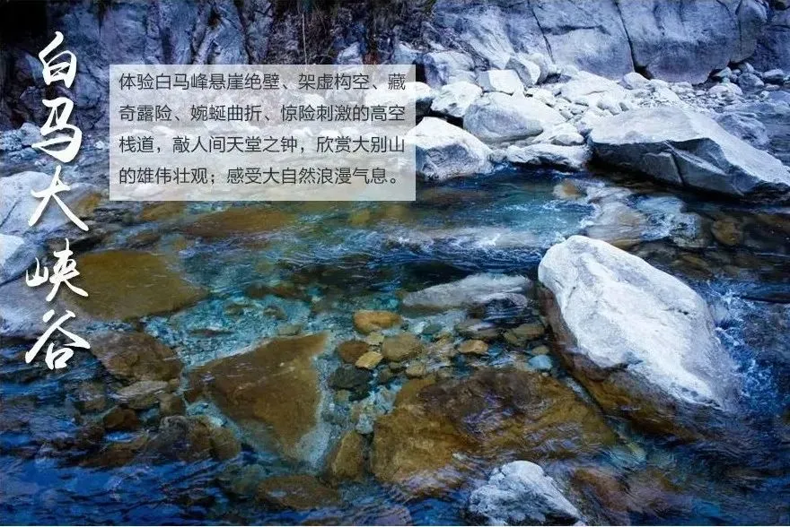 cad3e6892d57f7ae71c0f889bf44b987-sz_145501 cad3e6892d57f7ae71c0f889bf44b987-sz_145501