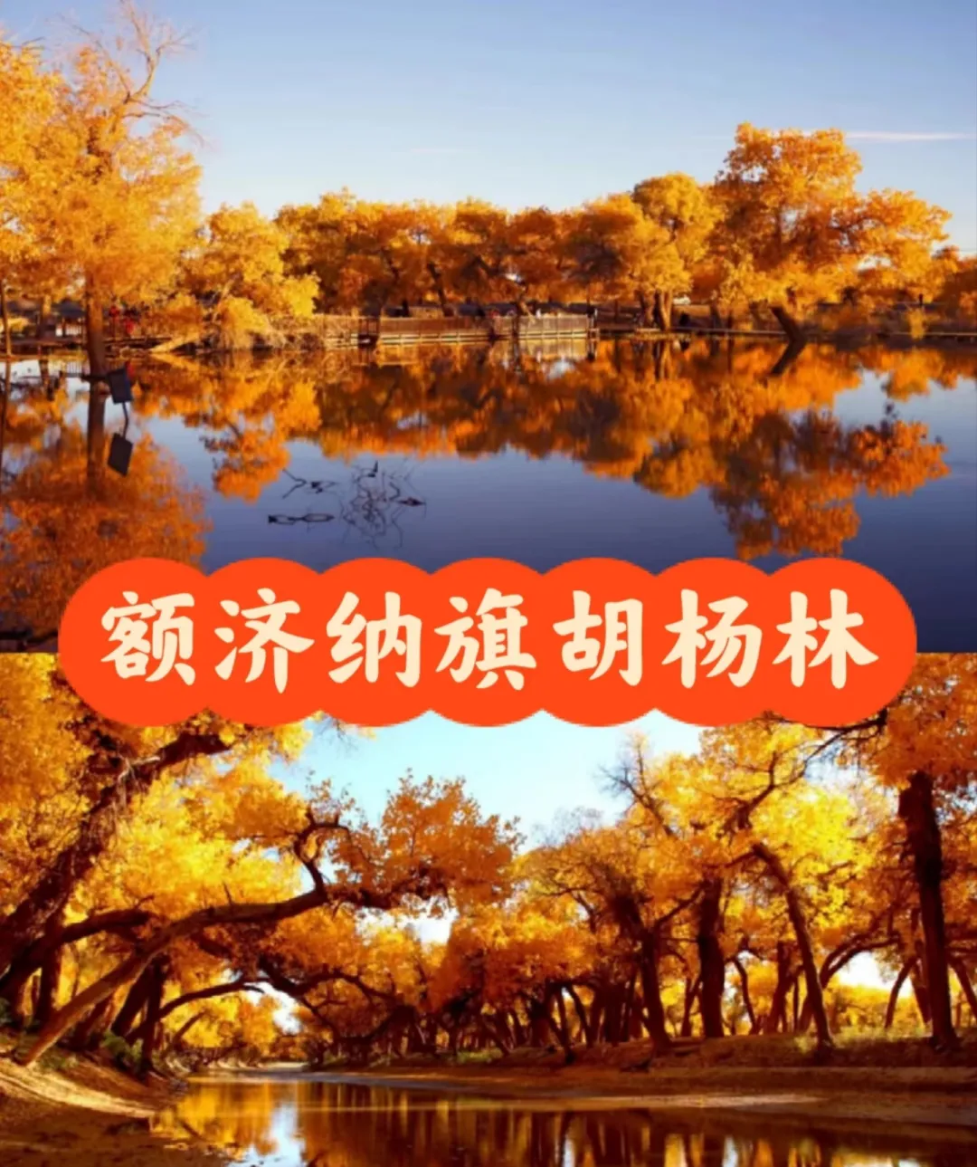 ce33ce8ff90a95bab0fc1152b6570a7b-sz_1218555 ce33ce8ff90a95bab0fc1152b6570a7b-sz_1218555