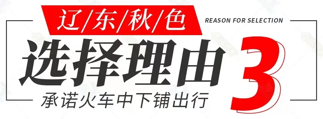 ce80cb426c5e431851b8d07e57a913c8-sz_385389 ce80cb426c5e431851b8d07e57a913c8-sz_385389