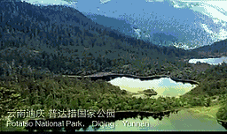 ce881750b7ba41aa2cf32263f877fa40-sz_1294821 ce881750b7ba41aa2cf32263f877fa40-sz_1294821