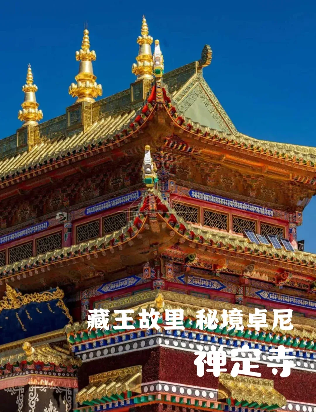 d55026288d98e65ffc108134764e2869-sz_2323207