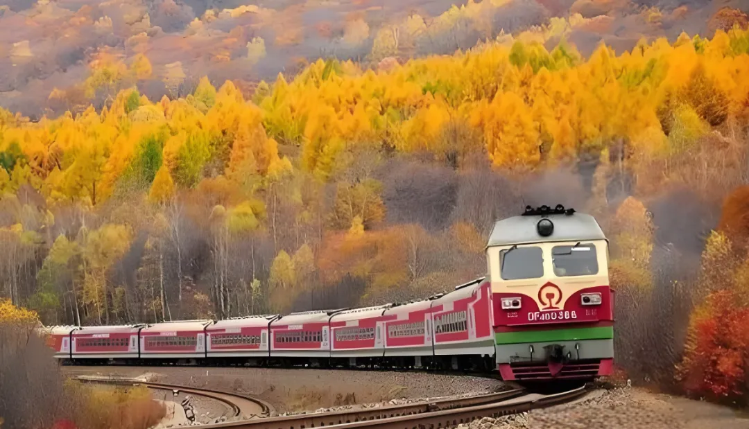 d88f21ba0583032c66ec9052c4f9e457-sz_2417458 d88f21ba0583032c66ec9052c4f9e457-sz_2417458